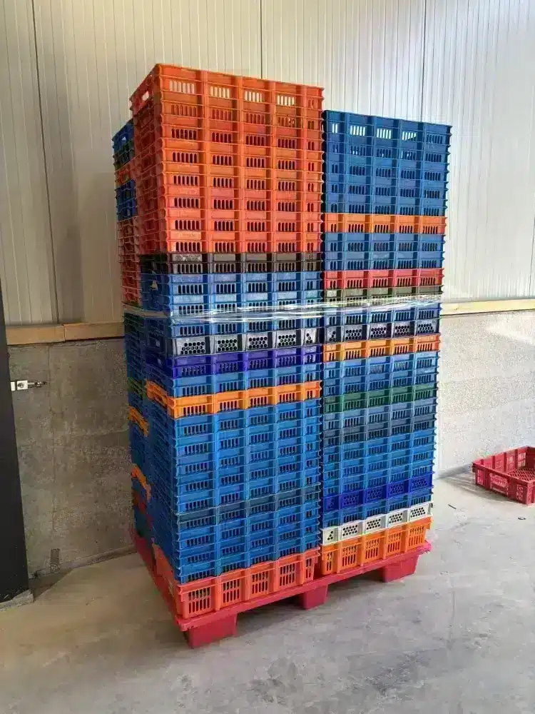 Palletdeal Kunststof krat kipkrat vleeskrat 600×400 - Gebruikt - Bonte mix, foto 3